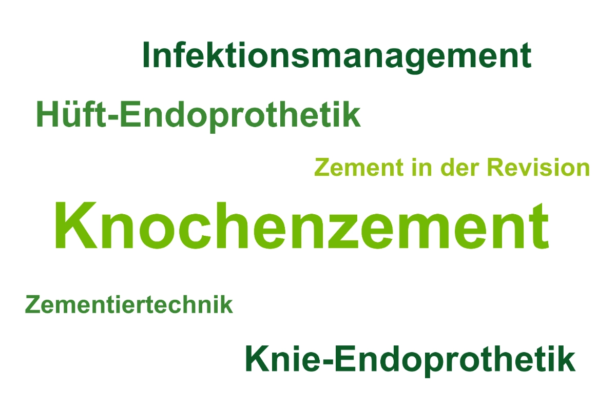 PALACADEMY Themen: Knochenzement, Hüft-Endoprothetik, Knie-Endoprothetik, Infektionsmanagement, Zementiertechnik, Zement in der Revision